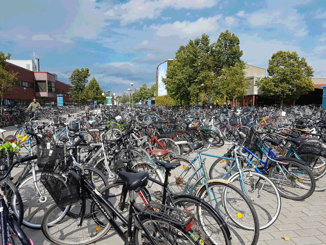 Mar de bicis en la Universidad de Linköping